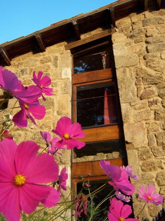 Gite De Chapeleche Les Chataigniers Gluiras Εξωτερικό φωτογραφία
