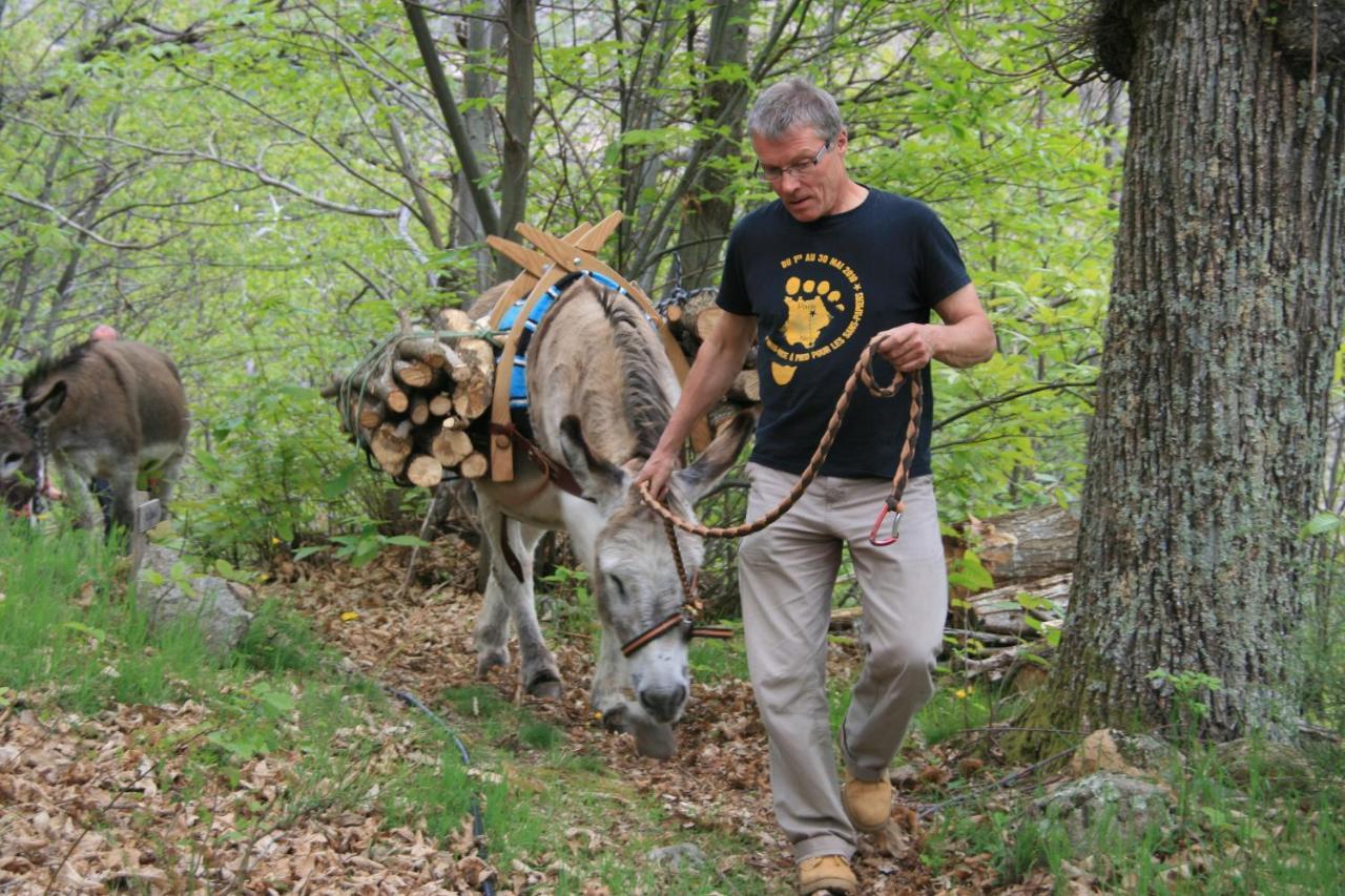 Gite De Chapeleche Les Chataigniers Gluiras Εξωτερικό φωτογραφία